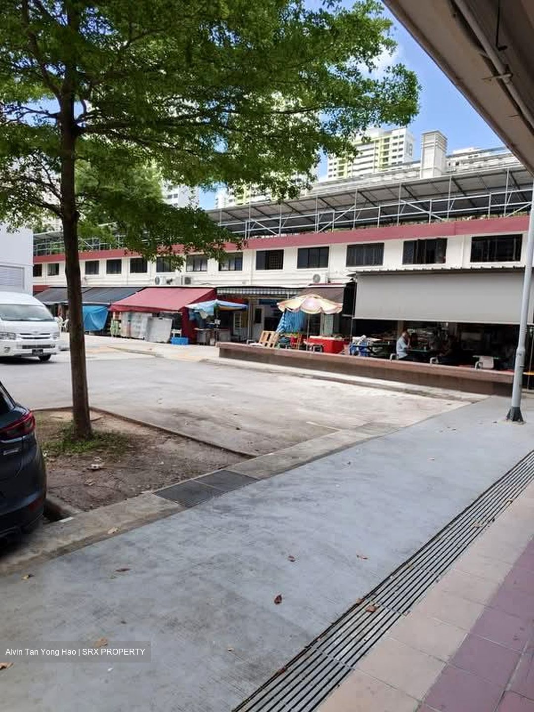 Tiong Bahru Orchid (D3), Shop House #535717641